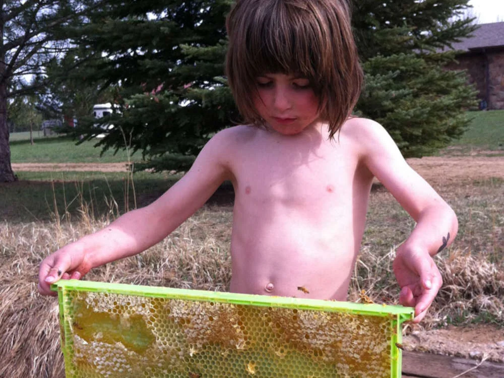 Apprentice beekeeper