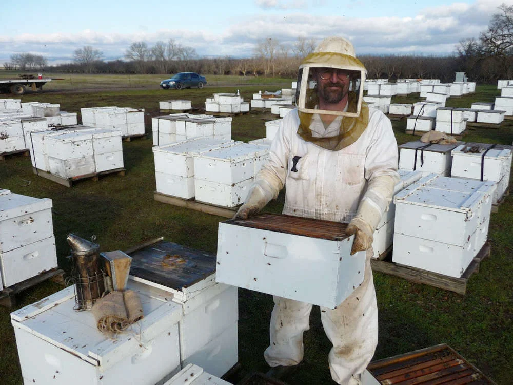 Grading hives
